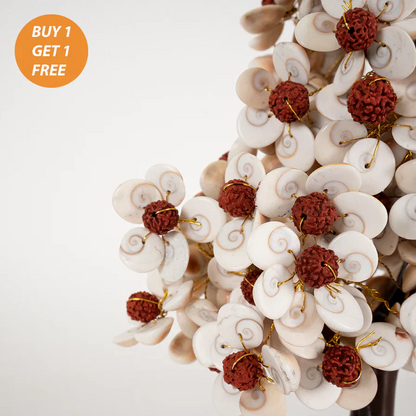 Gomati Chakra Tree with Rudraksham