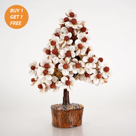 Gomati Chakra Tree with Rudraksham