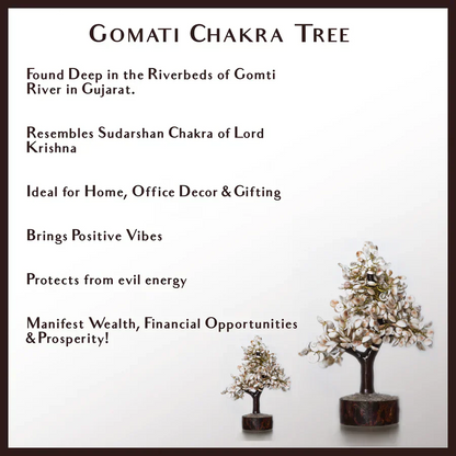 Gomati Chakra Tree with Rudraksham